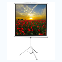 Экран на штативе DSKD-1105  - fgospostavki.ru - Зеленогорск