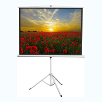 Экран на штативе DSKD-4303 - fgospostavki.ru - Зеленогорск