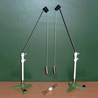 Маятник электростатический - fgospostavki.ru - Зеленогорск