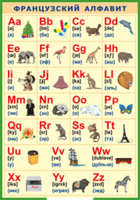 Таблица "Французский алфавит в картинках (с транскрипцией)" (100х140 сантиметров, винил) - fgospostavki.ru - Зеленогорск