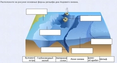 Интерактивные курсы. География 7 класс . Базовый. - fgospostavki.ru - Зеленогорск
