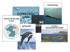 Модель-аппликация "Океаны. Знакомство" (ламинированная) - fgospostavki.ru - Зеленогорск