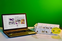 Коллекция натурально-интерактивная "Кварц в природе" - fgospostavki.ru - Зеленогорск