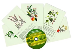 Интерактивный наглядный комплекс "Гербарий "Для начальной школы" - fgospostavki.ru - Зеленогорск