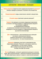 Таблица "Алгоритм описания реакции" (100х140 сантиметров, винил) - fgospostavki.ru - Зеленогорск