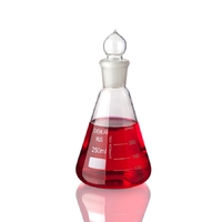 Колба коническая со шлифом 250 мл. - fgospostavki.ru - Зеленогорск