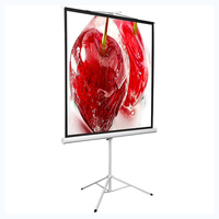 Экран на штативе DSKD-1106 - fgospostavki.ru - Зеленогорск