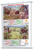 Плакаты по географии России для оформления кабинета. - fgospostavki.ru - Зеленогорск