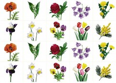 Комплект карточек "Запоминай, играй, считай" - Цветы - fgospostavki.ru - Зеленогорск