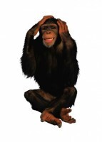 Комплект карточек "Запоминай, играй, считай" - Дикие животные - fgospostavki.ru - Зеленогорск