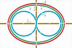Стенд "Тренажер для глаз" - fgospostavki.ru - Зеленогорск