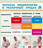 Стенд "Окраска индикаторов в различных средах" - fgospostavki.ru - Зеленогорск