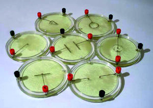 Демонстрационный комплект «Силовые линии электрического поля разных систем зарядов» - fgospostavki.ru - Зеленогорск