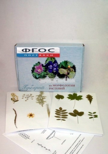 Гербарий "Морфология растений" (5 тем х 3 листа) - fgospostavki.ru - Зеленогорск