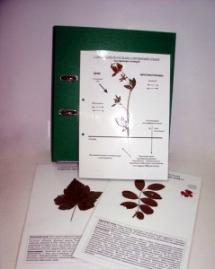 Гербарий к курсу основ общей биологии (20 листов, ламинированный) - fgospostavki.ru - Зеленогорск