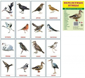 Раздаточные карточки "Перелетные птицы" - fgospostavki.ru - Зеленогорск