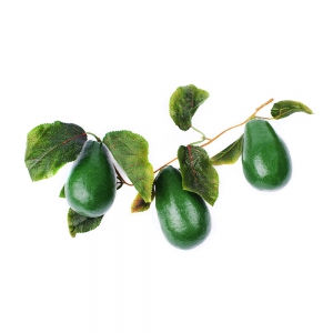 Ветка муляжей "Авокадо" - fgospostavki.ru - Зеленогорск