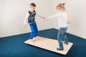 Балансировочная доска - fgospostavki.ru - Зеленогорск