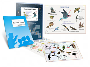 Комплект кодотранспарантов "Зоология. Птицы" - fgospostavki.ru - Зеленогорск