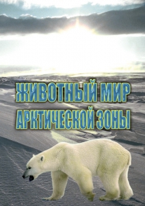DVD "Животный мир Арктической зоны" - fgospostavki.ru - Зеленогорск