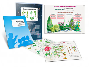 Комплект кодотранспарантов "Культурные растения" - fgospostavki.ru - Зеленогорск