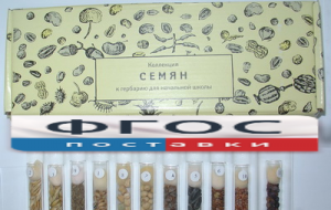 Коллекция "Семена к гербарию для начальной школы" (11 видов) - fgospostavki.ru - Зеленогорск