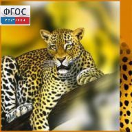 Зоология. (Цифровая база изображений) - fgospostavki.ru - Зеленогорск