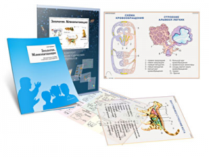 Комплект кодотранспарантов "Зоология. Млекопитающие" - fgospostavki.ru - Зеленогорск