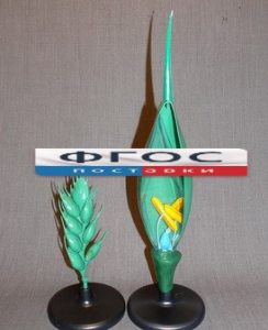 Модель "Цветок пшеницы" - fgospostavki.ru - Зеленогорск