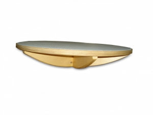 Балансир детский (круг) - fgospostavki.ru - Зеленогорск