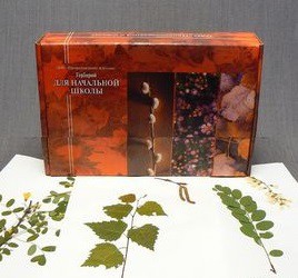 Гербарий для Начальной школы (28 видов) - fgospostavki.ru - Зеленогорск