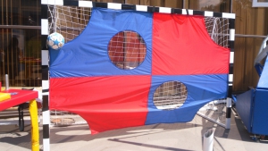 Экран для отработки ударов мячом - fgospostavki.ru - Зеленогорск