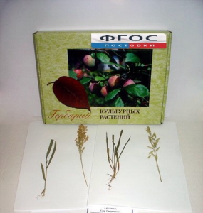 Гербарий "Культурные растения" (28 видов) - fgospostavki.ru - Зеленогорск