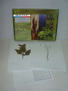 Гербарий "Сорные растения" (24 вида) - fgospostavki.ru - Зеленогорск