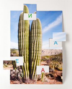 Магнитная орфография (безударные гласные, 1 класс) "Кактус" - fgospostavki.ru - Зеленогорск