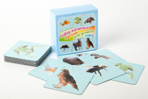 Набор магнитных карточек "Устный счет" (фон голубой) - fgospostavki.ru - Зеленогорск