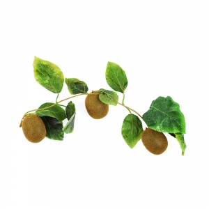 Ветка муляжей "Киви" - fgospostavki.ru - Зеленогорск