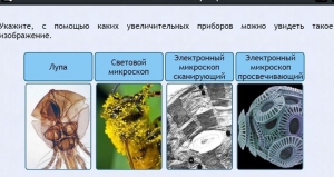 Интерактивные курсы. Биология 5 класс. Расширенный - fgospostavki.ru - Зеленогорск