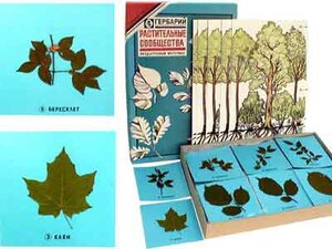 Гербарий "Растительные сообщества" - fgospostavki.ru - Зеленогорск