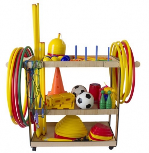 Тележка с гимнастическим снарядом - fgospostavki.ru - Зеленогорск