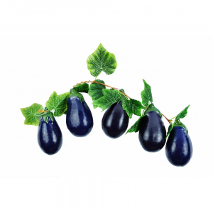 Ветка муляжей "Баклажаны" - fgospostavki.ru - Зеленогорск