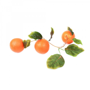 Ветка муляжей "Апельсины" - fgospostavki.ru - Зеленогорск
