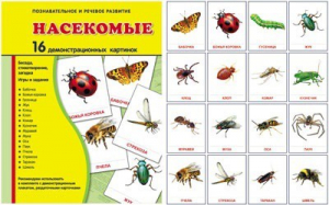 Демонстрационные карточки "Насекомые" - fgospostavki.ru - Зеленогорск