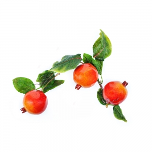 Ветка муляжей "Гранат" - fgospostavki.ru - Зеленогорск