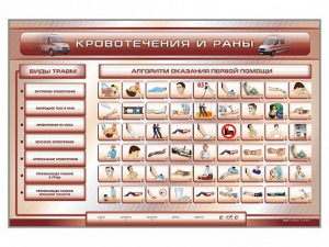 Трехсекционный базовый комплект "Травмы. Кровотечения. Ожоги" для учащихся общеобразовательных учреждений - fgospostavki.ru - Зеленогорск