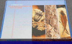 Коллекция "Палеонтологическая" (16 образцов) - fgospostavki.ru - Зеленогорск