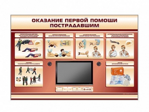 Многофункциональный интерактивный стенд-тренажер "Оказание первой помощи пострадавшим" для учащихся общеобразовательных учреждений - fgospostavki.ru - Зеленогорск