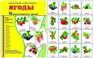 Демонстрационные карточки "Ягоды" - fgospostavki.ru - Зеленогорск