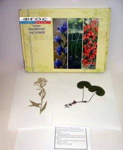 Гербарий "Ядовитые растения" (20 видов) - fgospostavki.ru - Зеленогорск