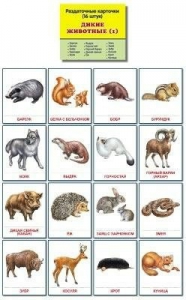 Раздаточные карточки "Дикие животные (1)" - fgospostavki.ru - Зеленогорск